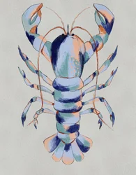 Kleurrijke blauwe kreeft