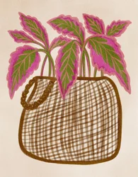 Kleurrijke potplant