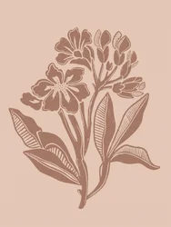 Aardse, botanische bloemen