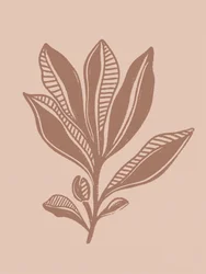 Natuurlijke botanische tekening