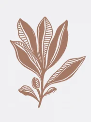 Biologische botanische schets