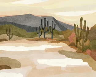 De rust van de Saguaro-woestijn