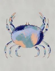 Serene Blauwe Krab