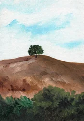 De boom op Solitary Hill