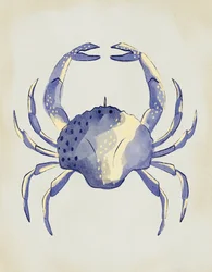 Aquarel: Blauwe krab