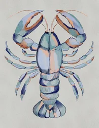Blauwe kreeft in aquarel