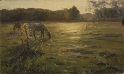 Paarden in de weide