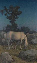Wit paard in de schemering