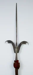 Friuli Speer