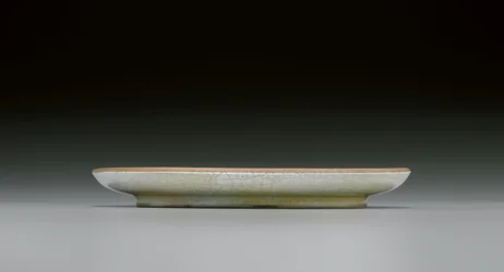 Zeldzaam Ruyao gerecht