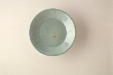 Zeldzaam Ruyao ondiep gerecht