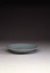 Zeldzaam Ruyao ondiep gerecht