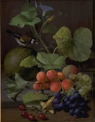 Stilleven met fruit en een distelvink