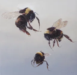 Bombus vlucht 1, 2011 (acryl op hout)