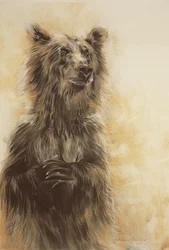 Grizzly Bear 1, 2002 (carbon potlood, houtskool  krijt)