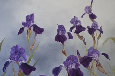 Iris hybrida (detail), 2015 (acryl op gegessuurd hout)