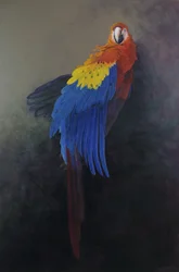 Scharlaken ara 3, 2014 (acryl op linnen)