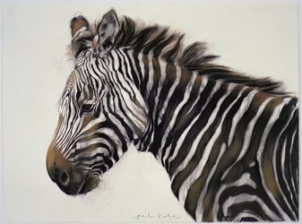 Zebra, 2002 (houtskool  krijt)