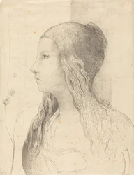 Brunnhilde