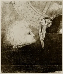 Het wiel