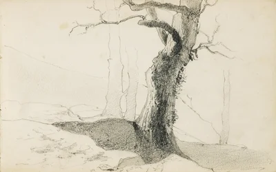 Tekening uit een album getiteld "Het Baskenland", 1862-63