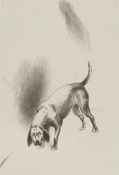 Hij [de hond van de verteller] hield zijn ogen op mij gericht met zo