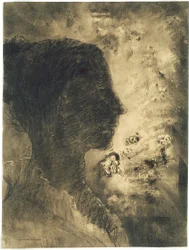 Profiel van Shadow