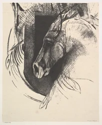 De Hengst, 1894