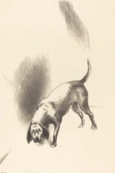 De Hond
