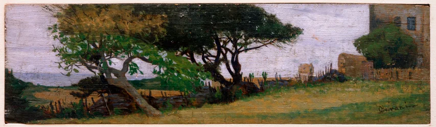 Landschap bij Castiglioncello, Italië