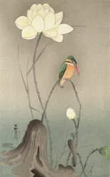 Een IJsvogel en een lotus, ca. 1910