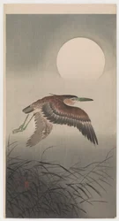 Vliegende reiger en volle maan