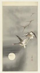 Ganzen in vlucht