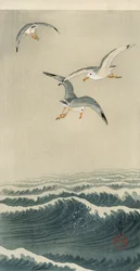 Meeuwen op Zee