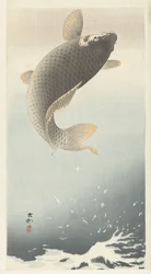 Karper