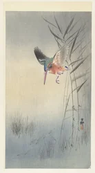 IJsvogel op jacht naar vis (kleur houtsnede)