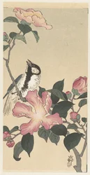 Koolmees op tak met roze bloemen