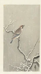 Pestvogel op besneeuwde tak