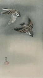 Mussen in vlucht
