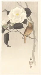 Zangvogel en bloeiende camellia