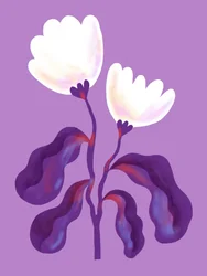 Moderne lavendelbloemen