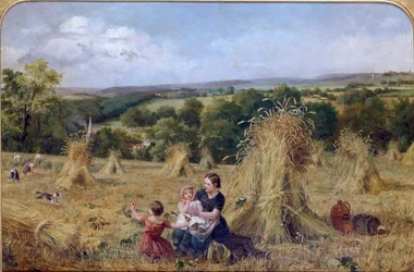 Het Oogstveld