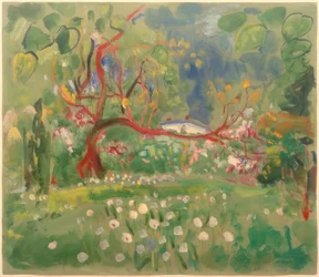 Lente in het Reuzengebergte