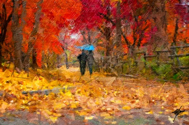 Herfstwandeling met paraplu
