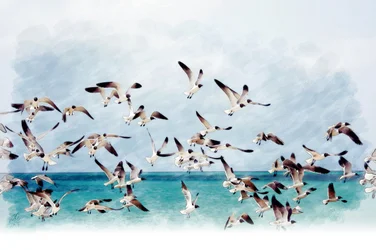 Meeuwen boven een turquoise zee