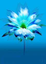 Levendige blauwe bloei