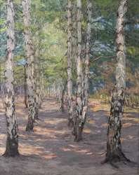 Berkenpad op de Heller bij Dresden