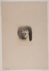 Een Hondenkop