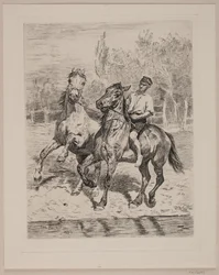 De paarden worden gedrenkt