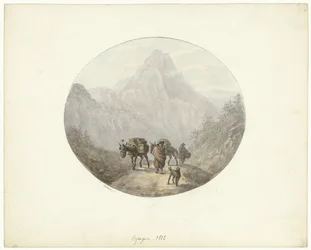 Berglandschap te Spanje, met pakezels
